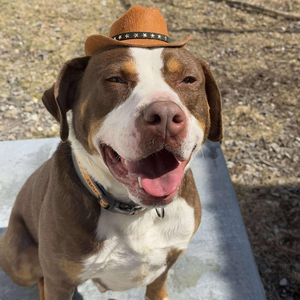 Roscoe