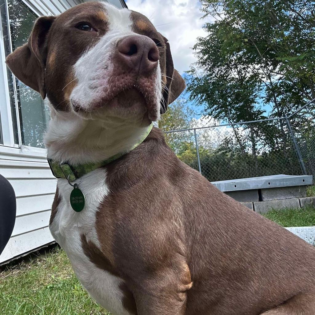 Roscoe