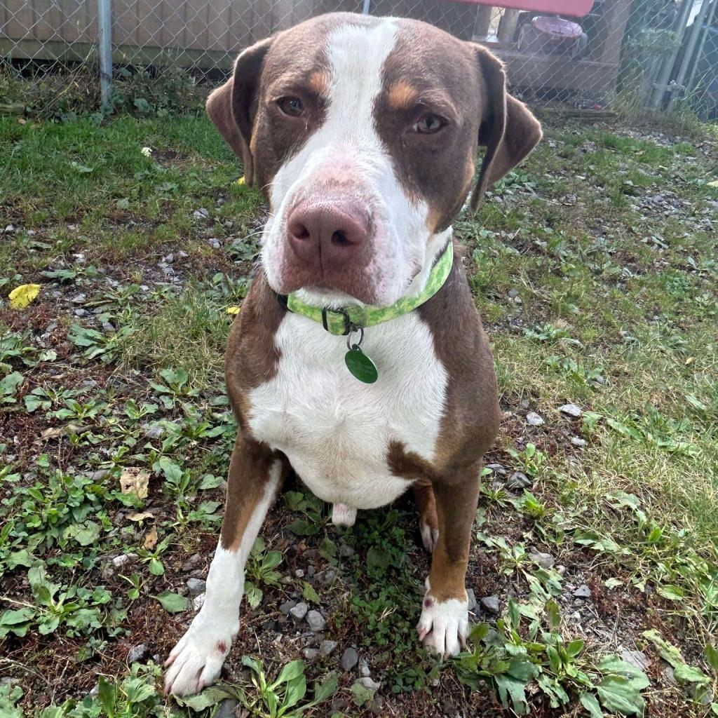 Roscoe