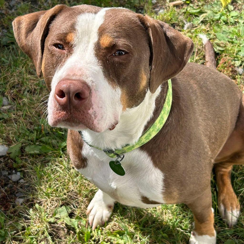 Roscoe