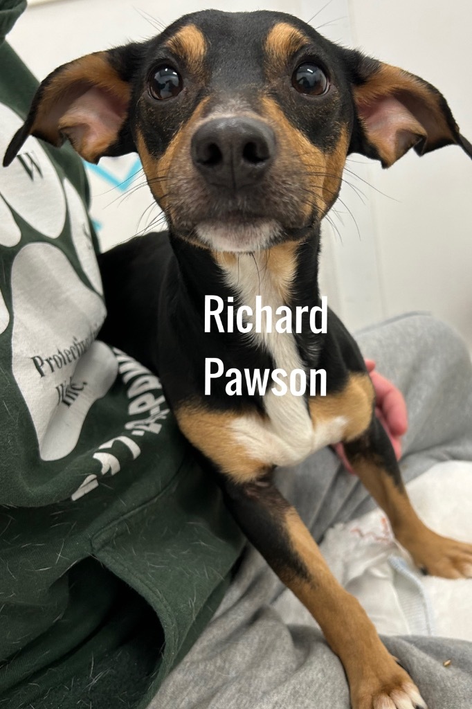 Richard Pawson