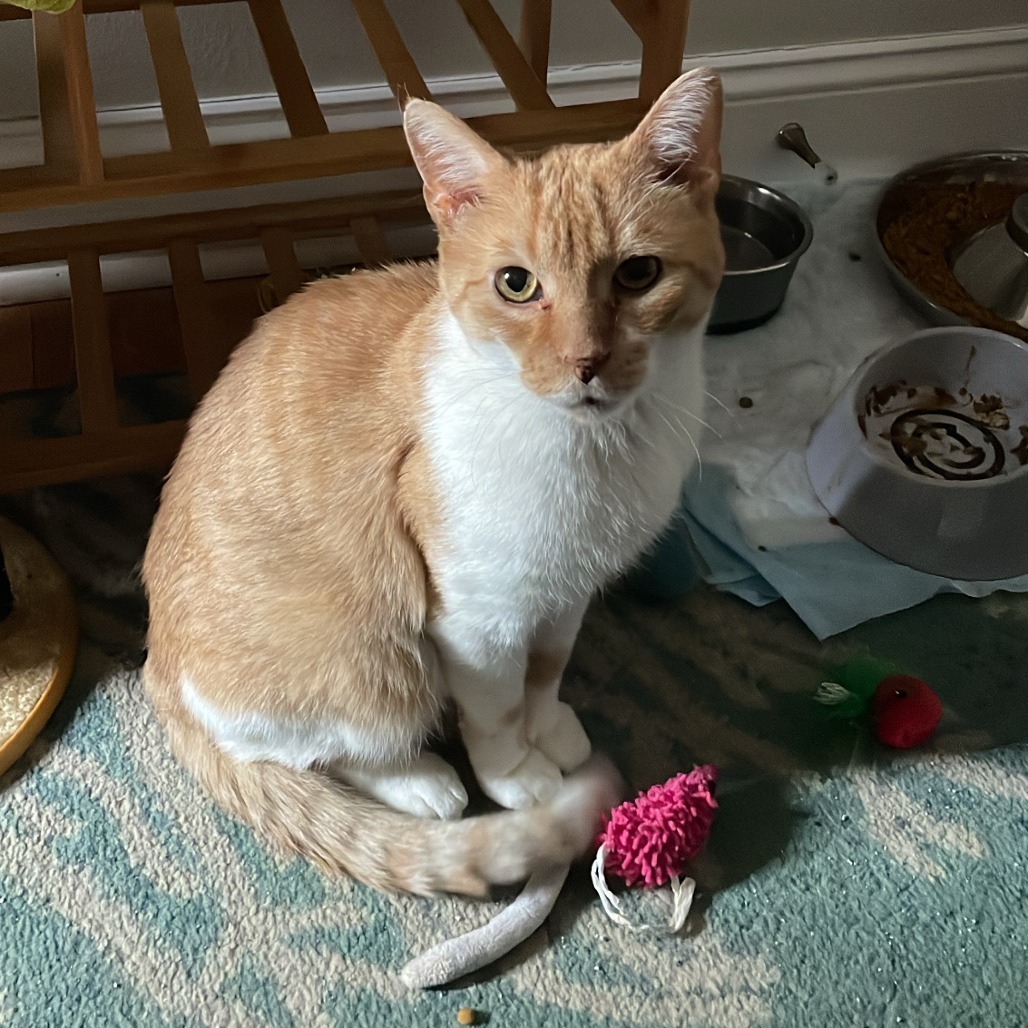 Murray