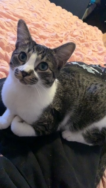 Benjamin