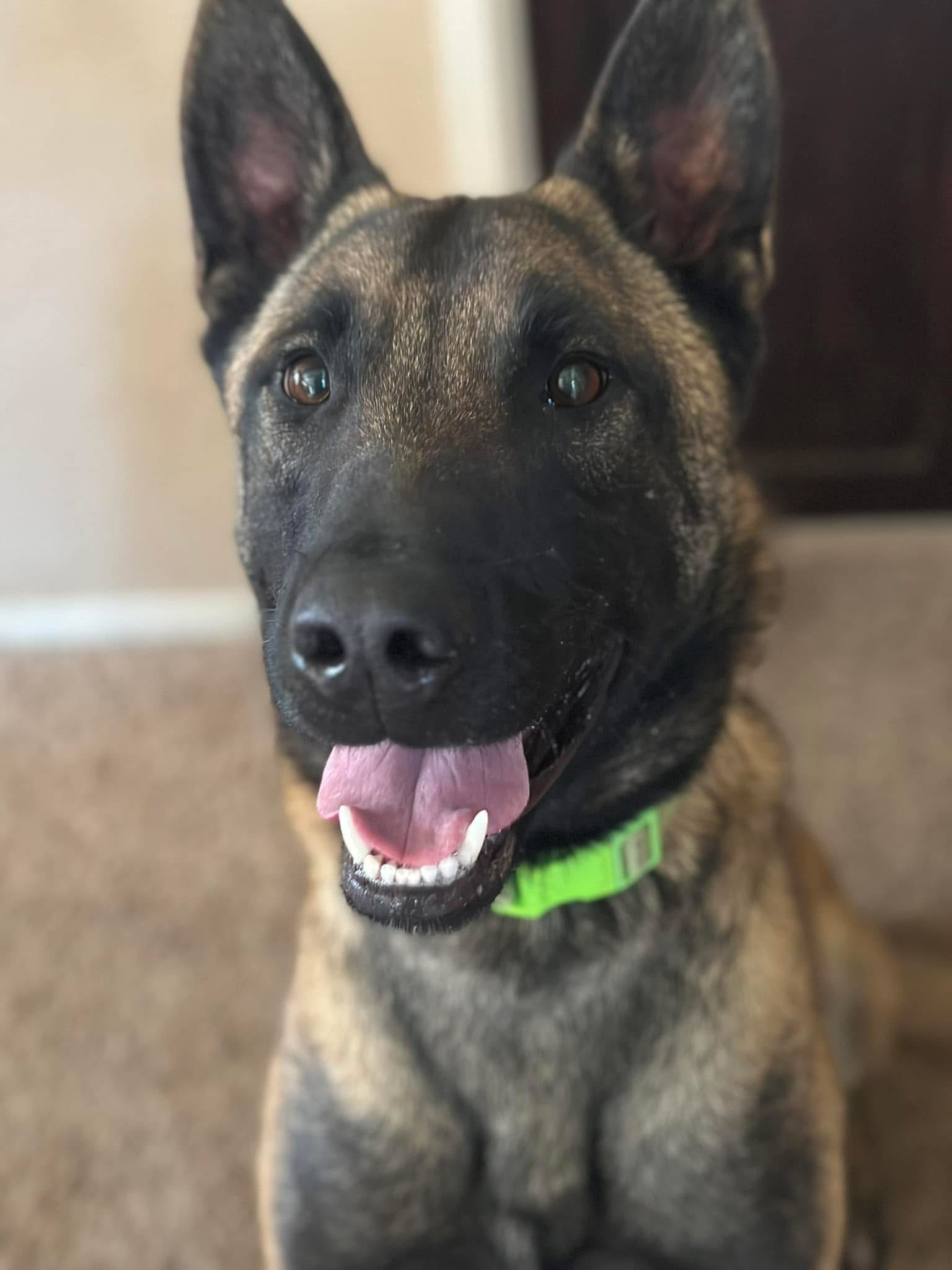 Volt