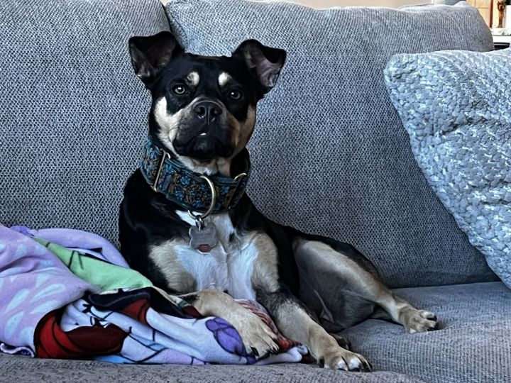 Clover (courtesy listing) 2