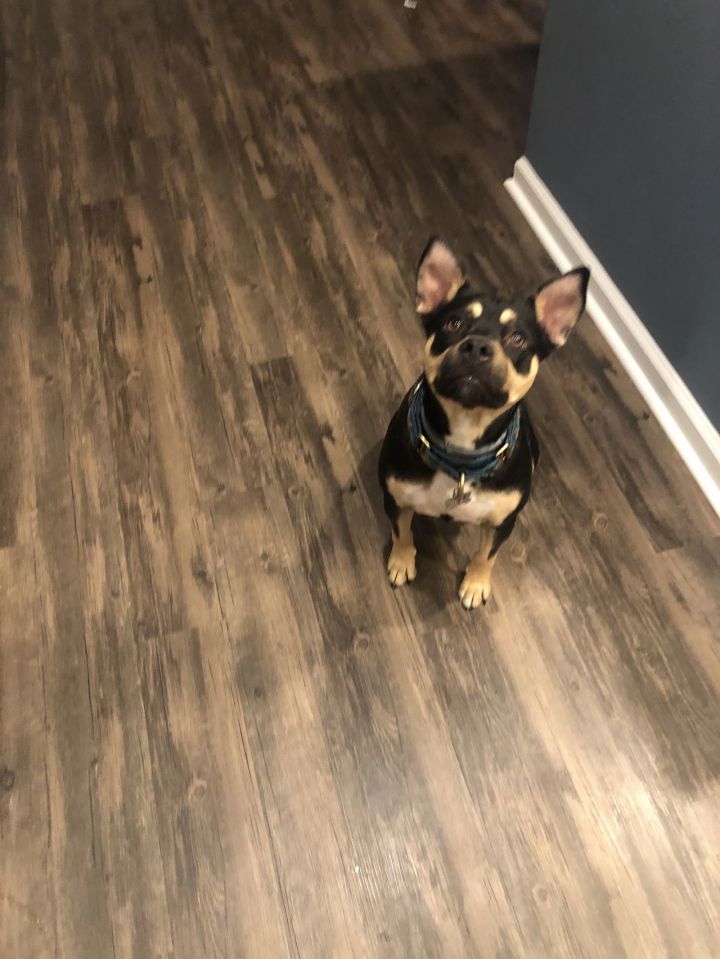 Clover (courtesy listing) 3