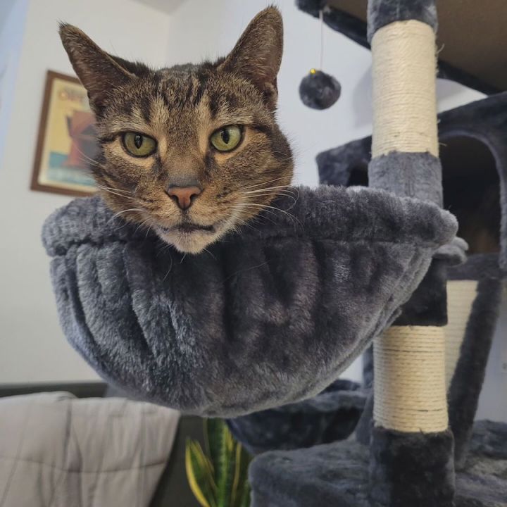 Cashew 3