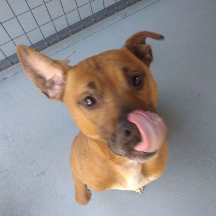 Ozzy 2