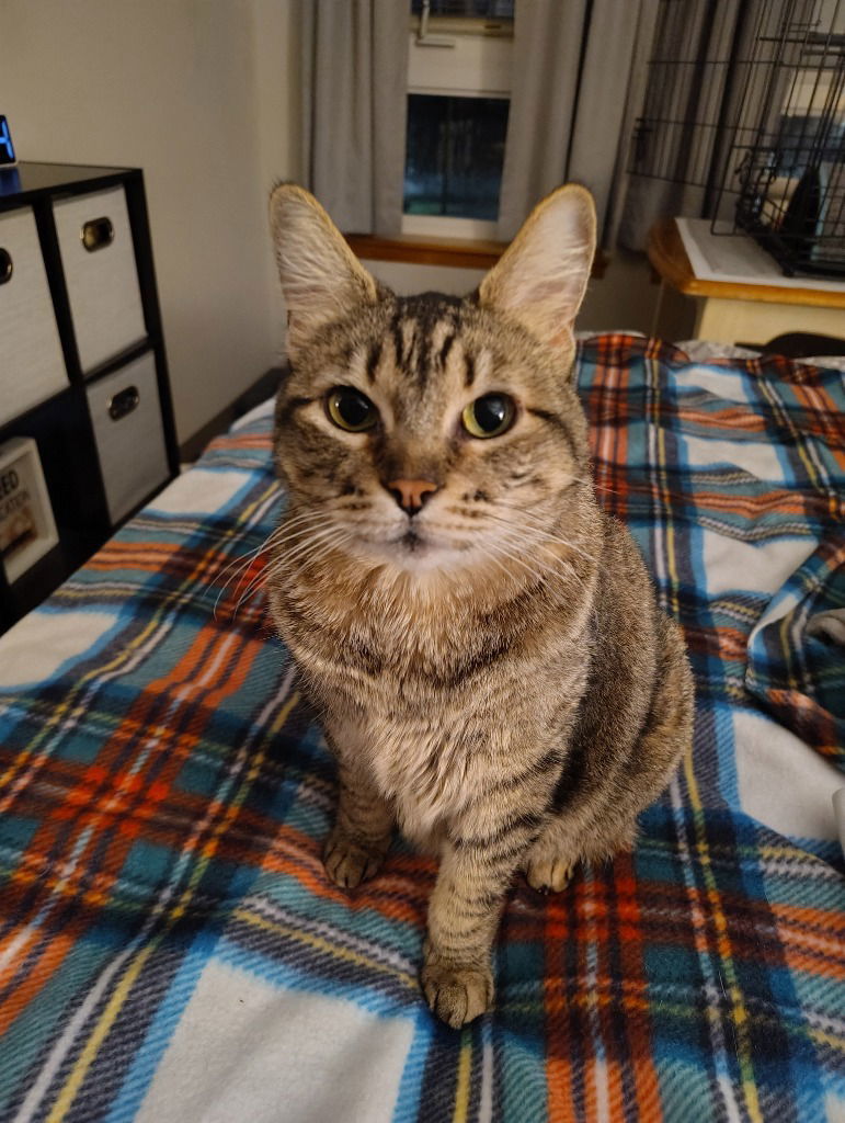 Penny