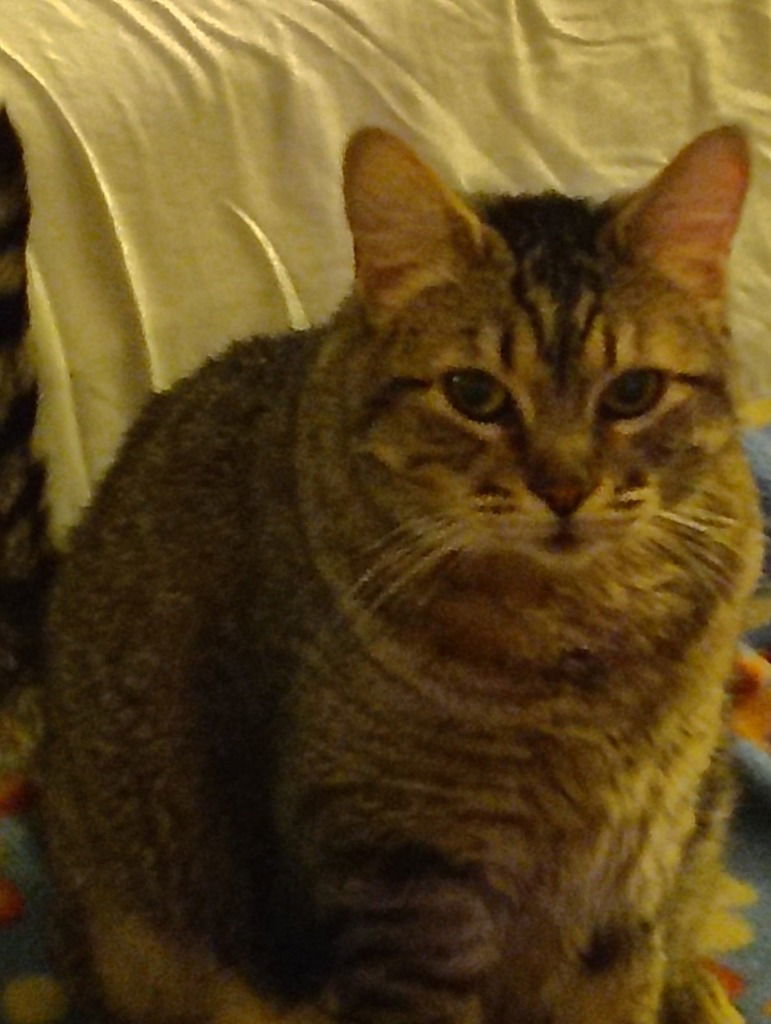 Penny