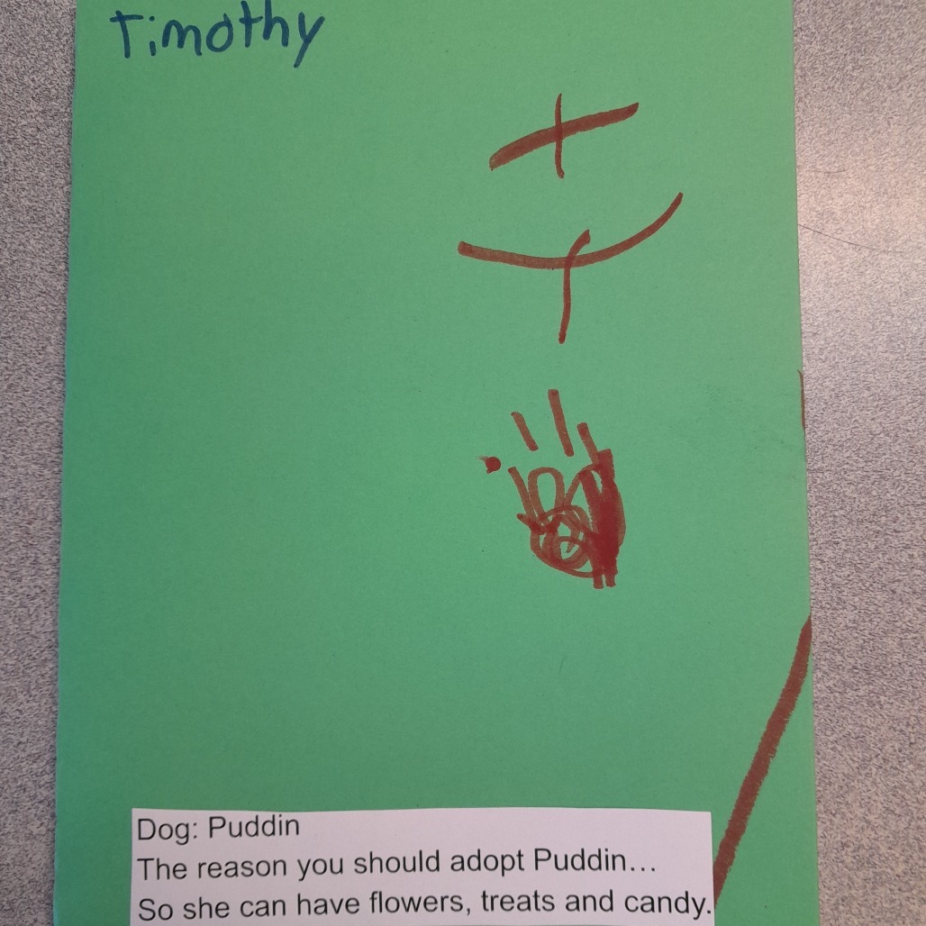 PUDDIN, an adoptable American Staffordshire Terrier in Pagosa Springs, CO, 81147 | Photo Image 2