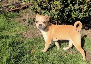 Tito's Sunshine