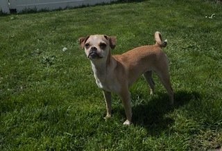 Tito's Sunshine