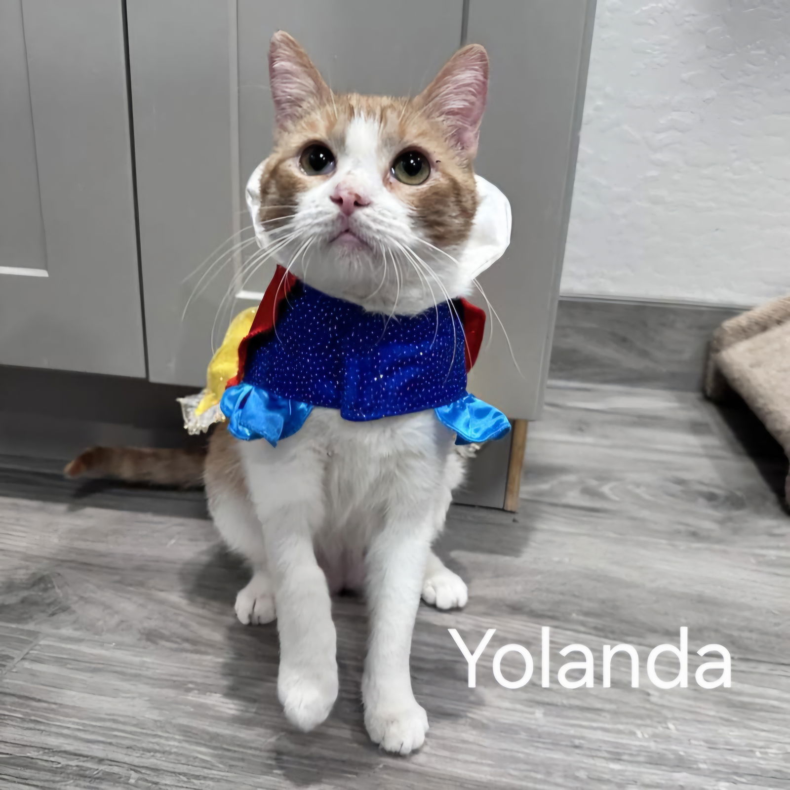 Yolanda