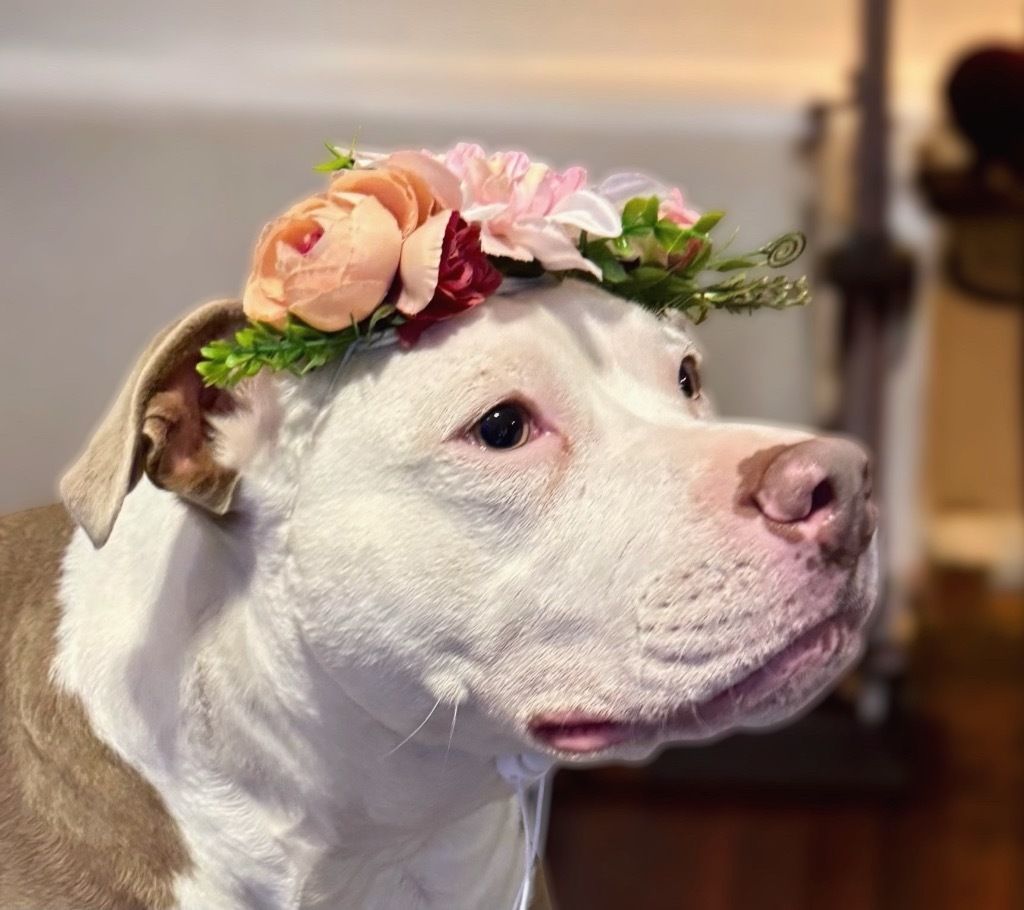 Sophie