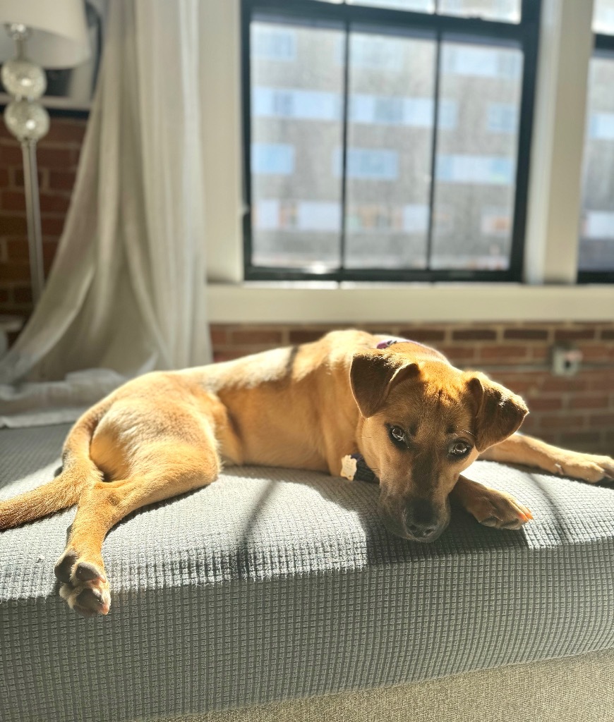 Maxwell - Local Tripod!