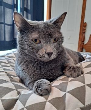 Smokey