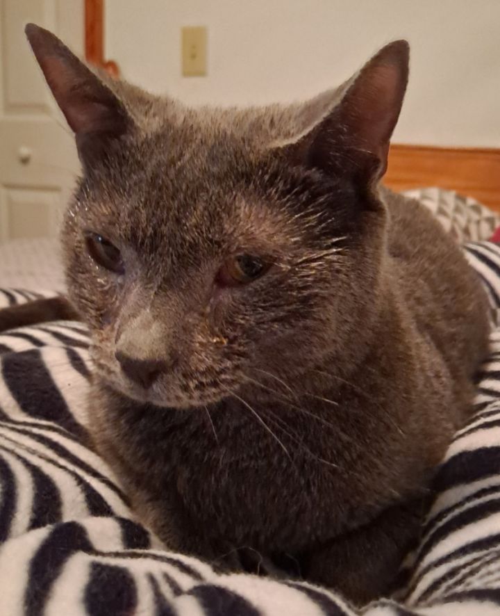 Smokey 2