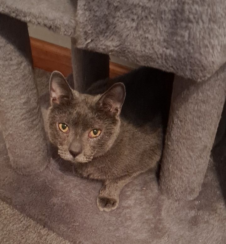 Smokey 3