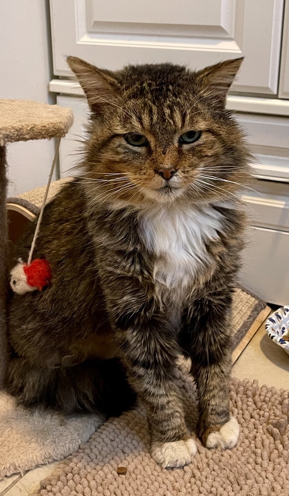 Mufasa