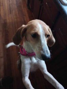 Molly 2