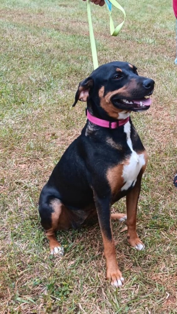 Layla Momma