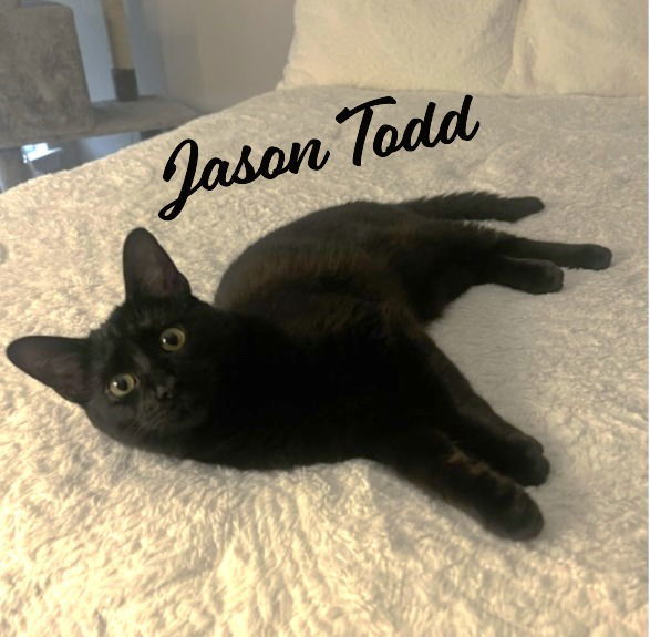 Jason Todd #Batman-litter