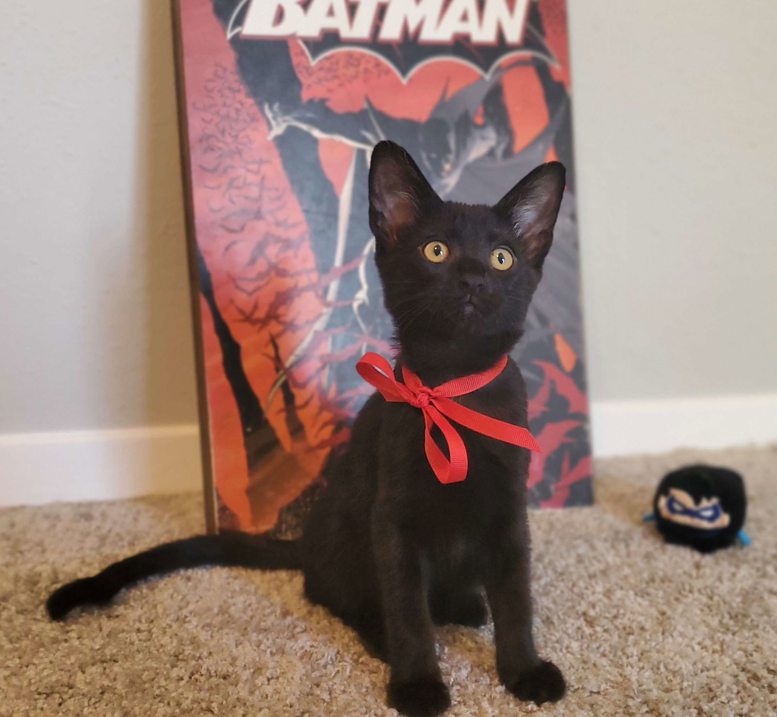 Jason Todd #Batman-litter