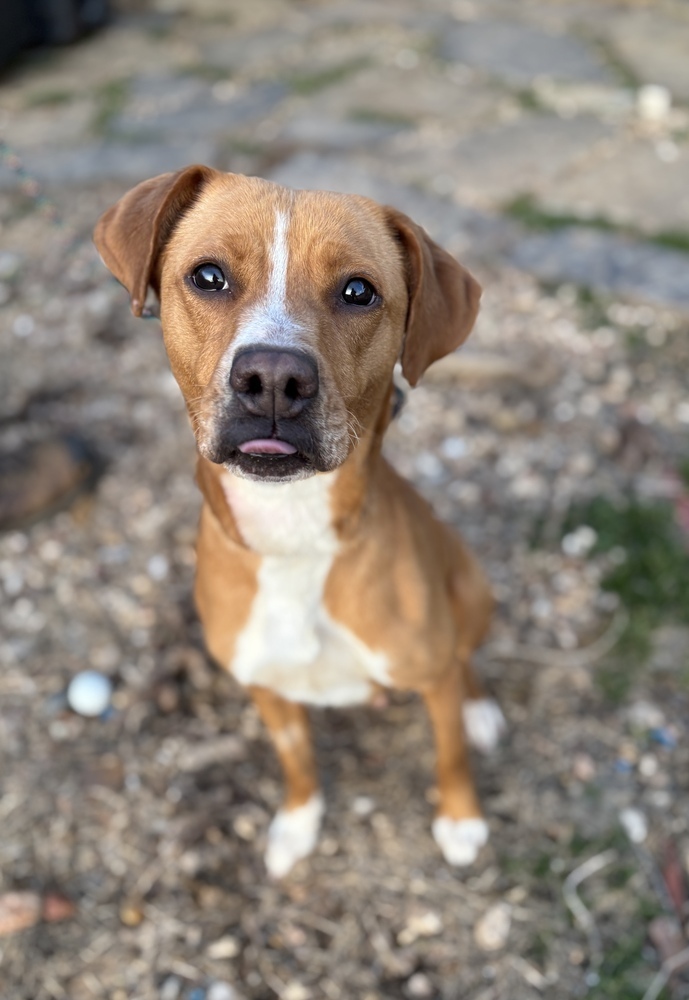 Ellie Mae