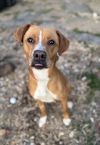 Ellie Mae photo 2