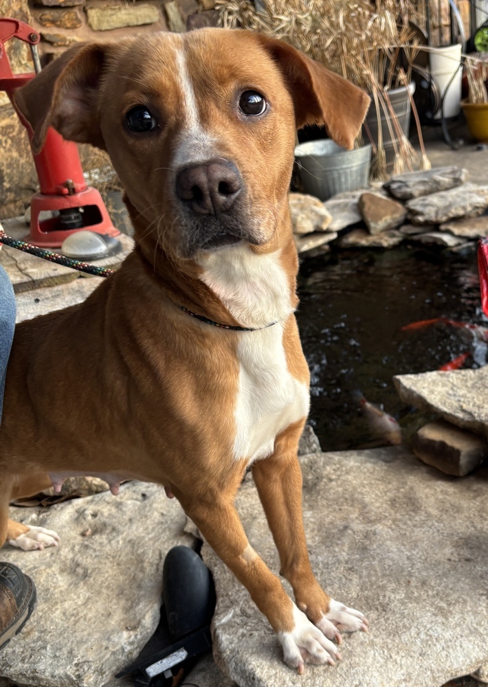 Ellie Mae