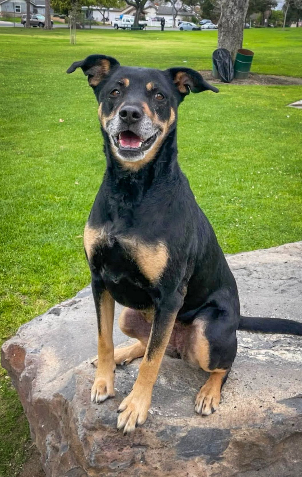 Tina