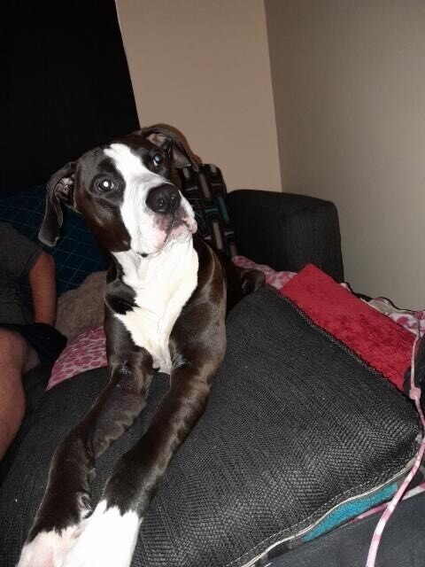 Odin