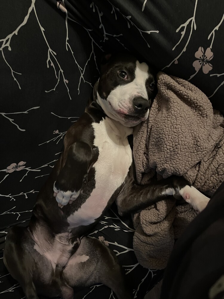 Odin