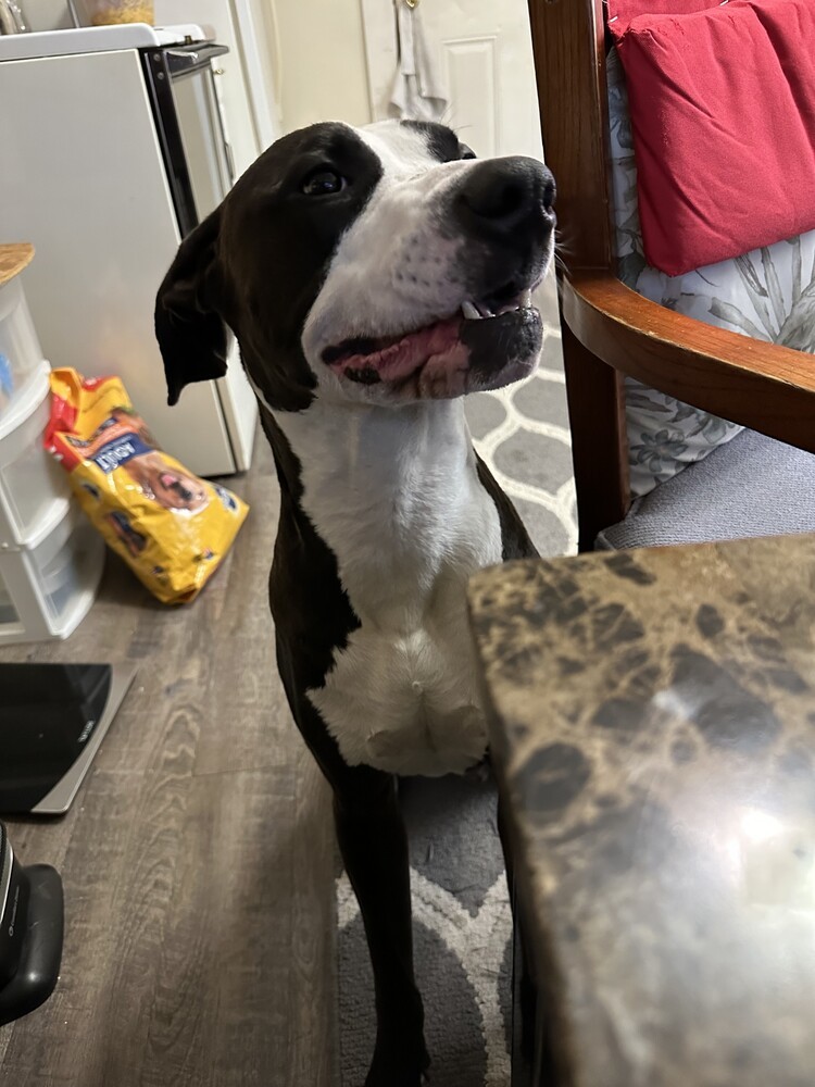Odin