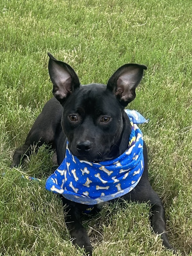 Bailey (Baxter and Bailey brothers)