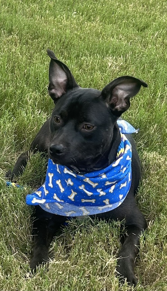 Bailey (Baxter and Bailey brothers)