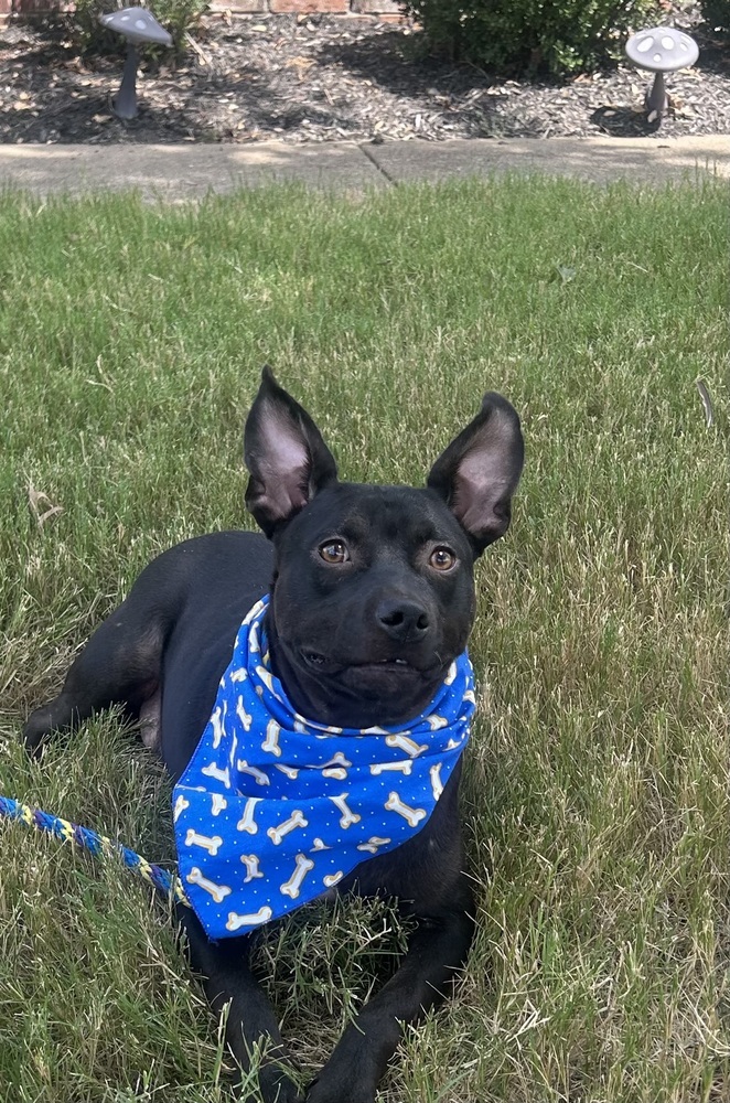 Bailey (Baxter and Bailey brothers)