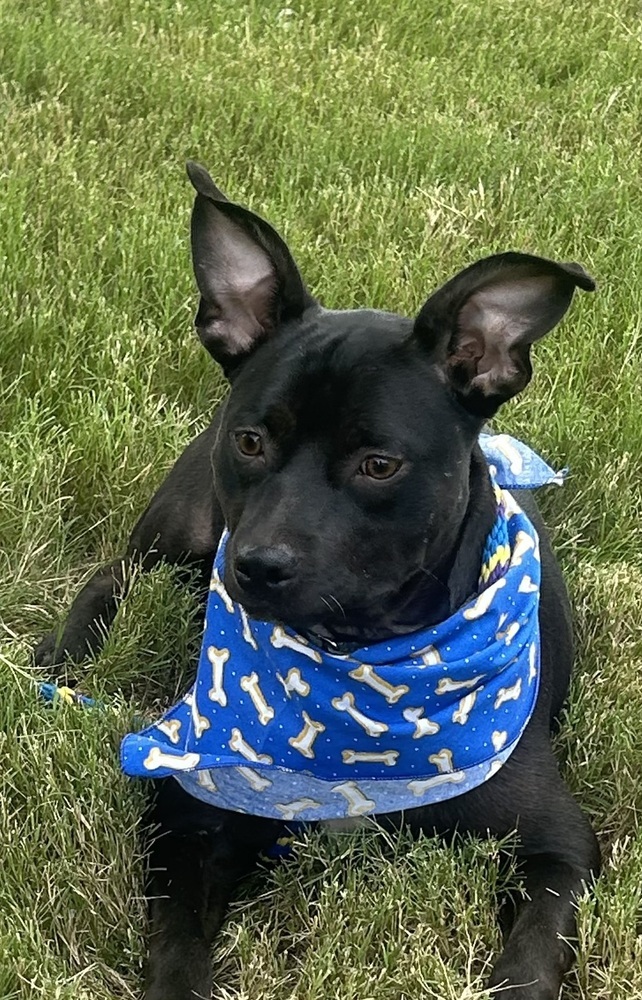 Bailey (Baxter and Bailey brothers)