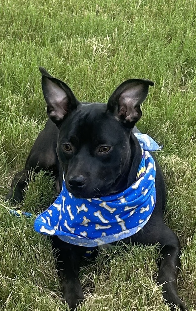 Bailey (Baxter and Bailey brothers)