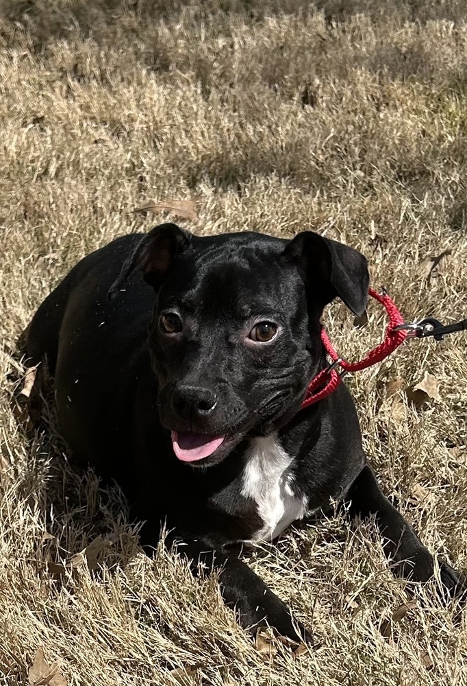 Baxter (Baxter and Bailey brothers)