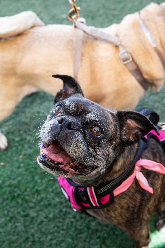 Leia *bonded to Rush* / Rush *bonded to Leia*