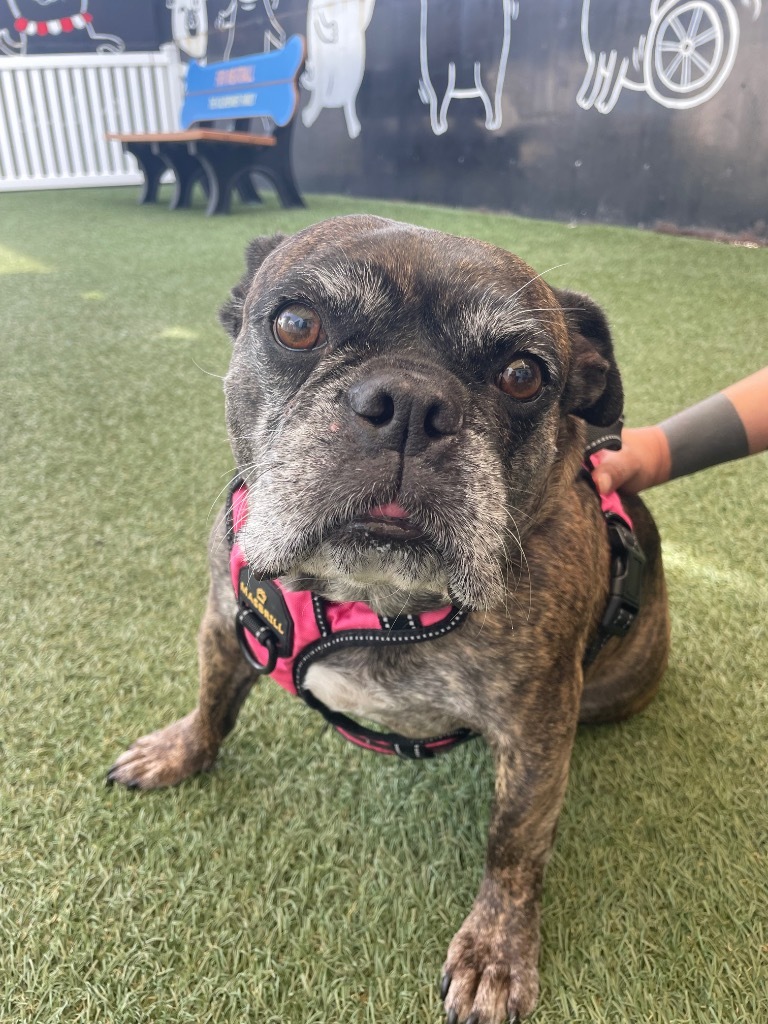 Leia *bonded to Rush* / Rush *bonded to Leia*