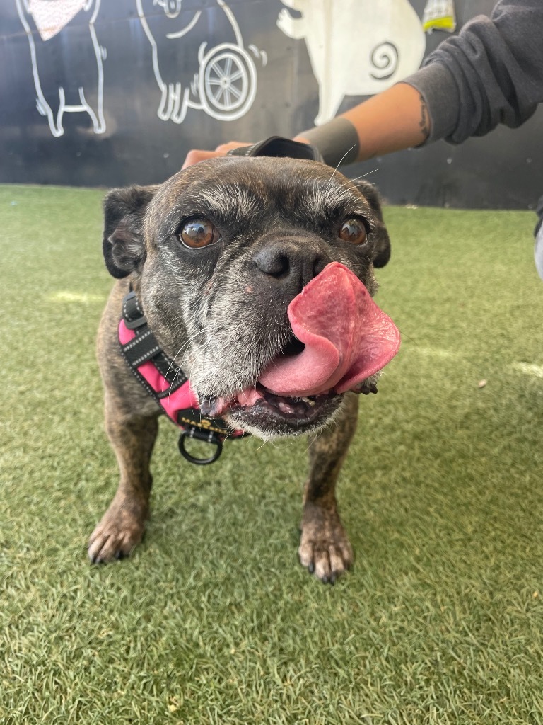 Leia *bonded to Rush* / Rush *bonded to Leia*
