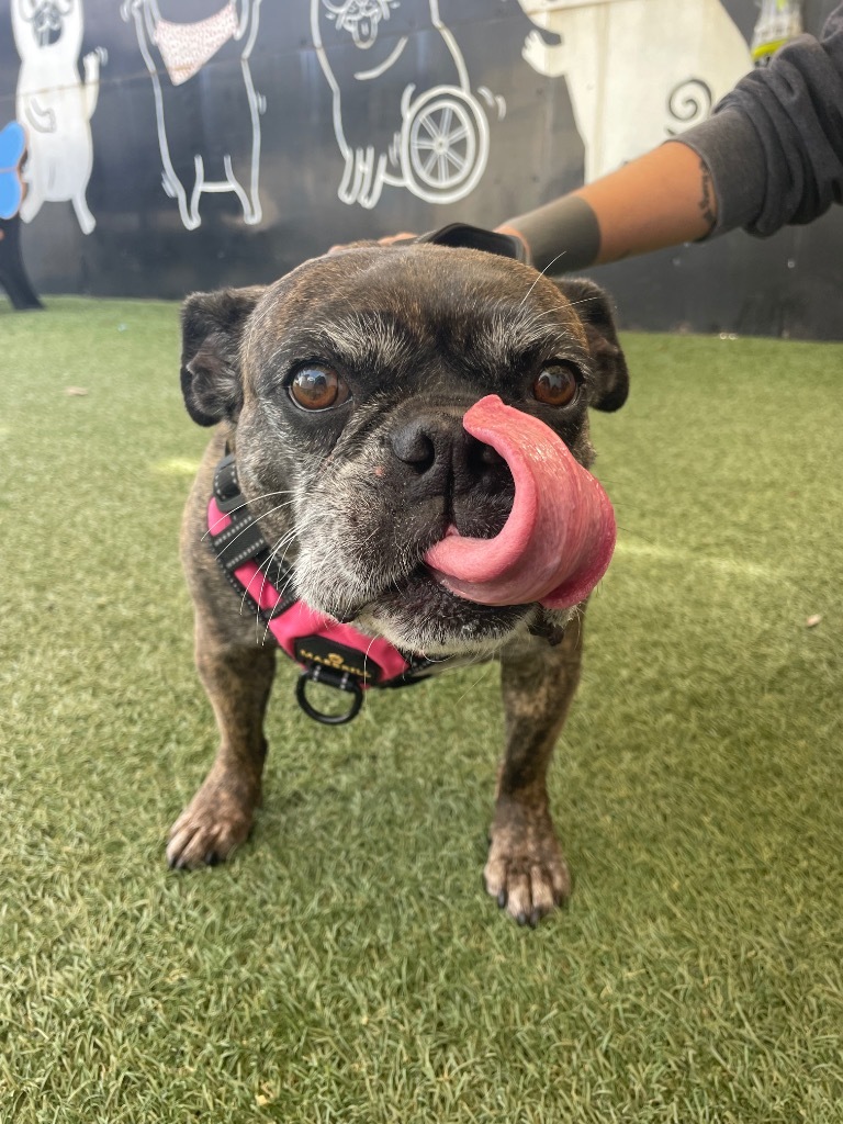 Leia *bonded to Rush* / Rush *bonded to Leia*