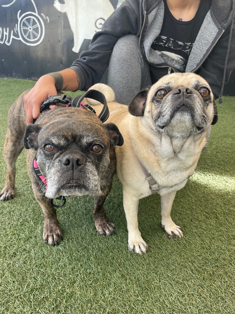 Leia *bonded to Rush* / Rush *bonded to Leia*