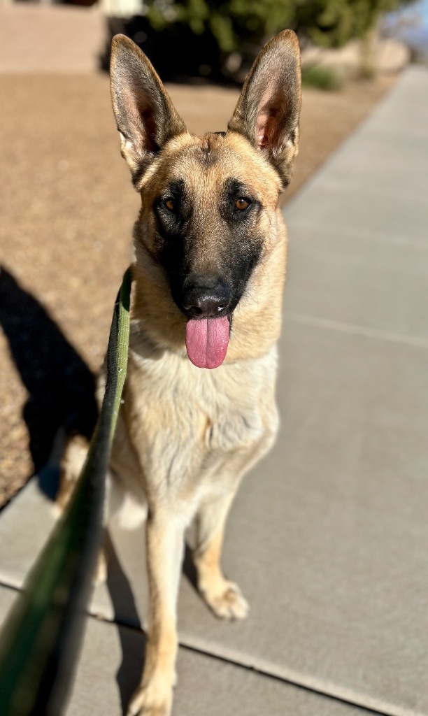 Bennet