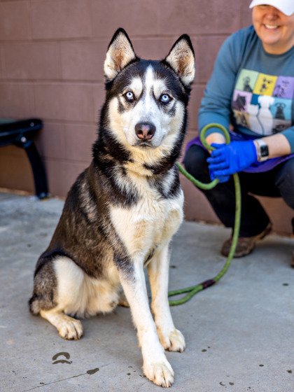 Jonathan -ADOPTED -TA 2