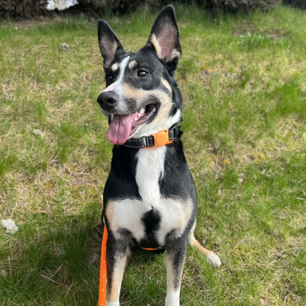 Rosie
