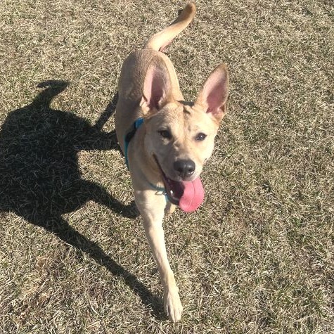 Maggie